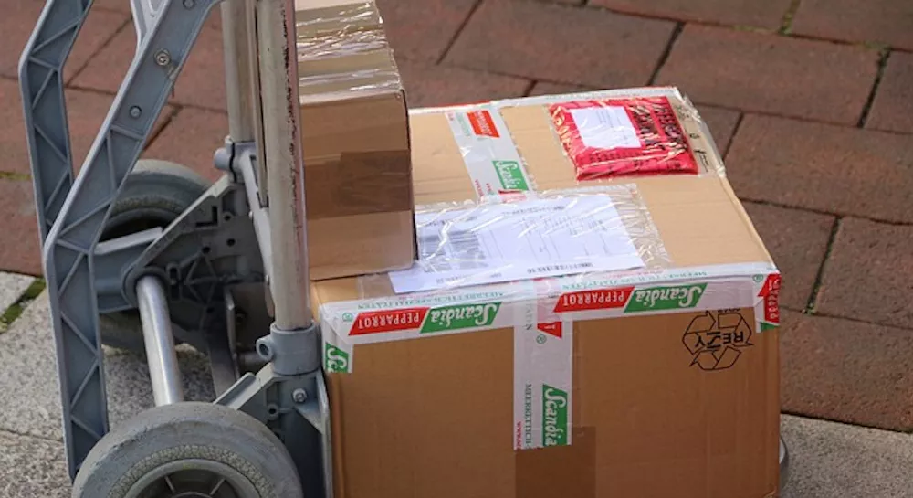 Paketlieferung, Blue Taxi, Taxiunternehmer, Lustenau, Gaißau, Höchst, Fußach